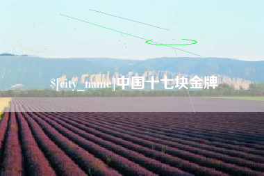 池州中国十七块金牌