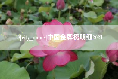 池州中国金牌榜明细2021