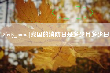 池州我国的消防日是多少月多少日