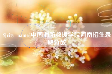 池州中国消防救援学院河南招生录取分数