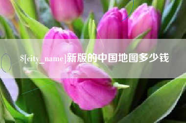 池州新版的中国地图多少钱