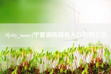 池州宁夏消防报名入口官网公告