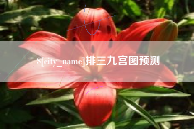池州排三九宫图预测