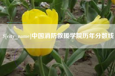 池州中国消防救援学院历年分数线