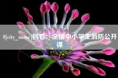池州回看：全国中小学生消防公开课