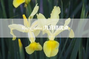 池州九宫格优点