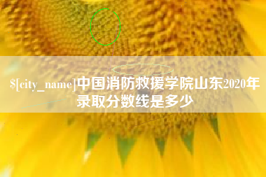 池州中国消防救援学院山东2020年录取分数线是多少 池州中国消防救援学院山东2020年录取分数线是多少