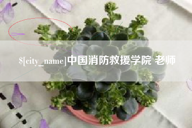 池州中国消防救援学院 老师