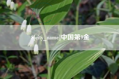 池州中国第9金