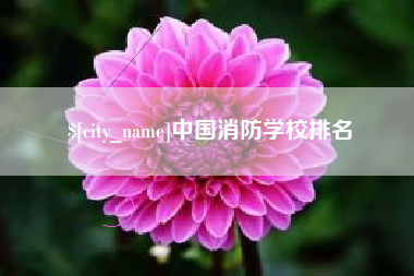 池州中国消防学校排名