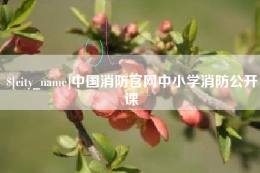池州中国消防官网中小学消防公开课