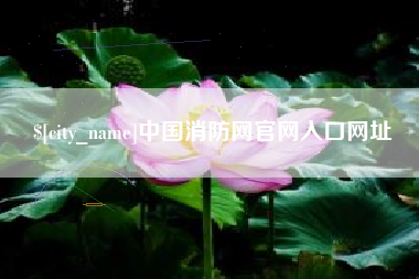 池州中国消防网官网入口网址