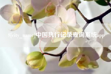 池州中国执行记录查询系统app
