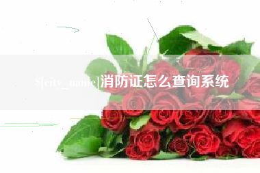 池州消防证怎么查询系统