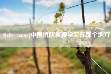 池州中国消防救援学院在那个地方