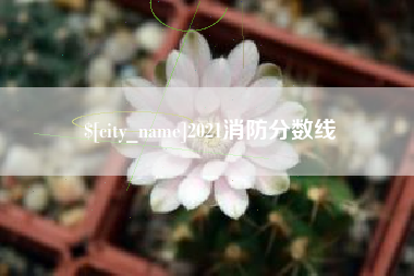 池州2021消防分数线