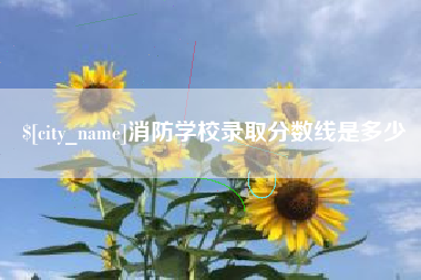池州消防学校录取分数线是多少