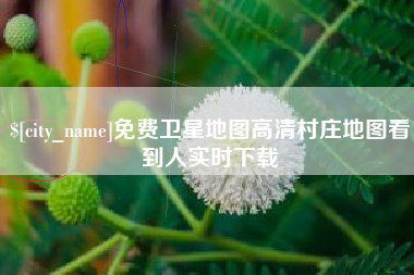 池州免费卫星地图高清村庄地图看到人实时下载