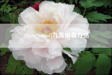 池州九宫排盘方法
