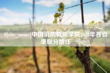 池州中国消防救援学院2020年各省录取分数线