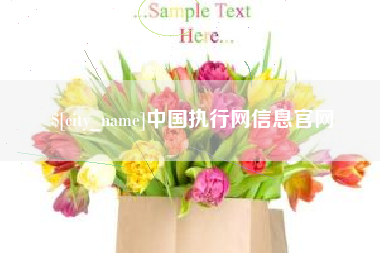 池州中国执行网信息官网