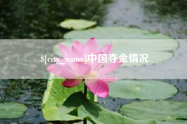 池州中国夺金情况