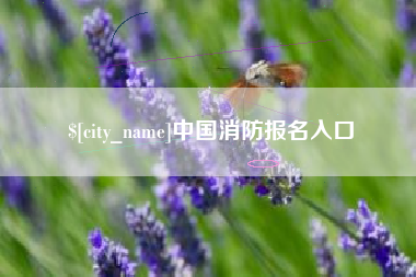 池州中国消防报名入口