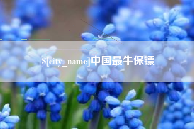 池州中国最牛保镖