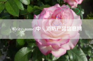 池州中囯消防产品信息网