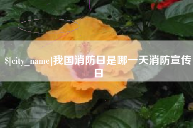 池州我国消防日是哪一天消防宣传日