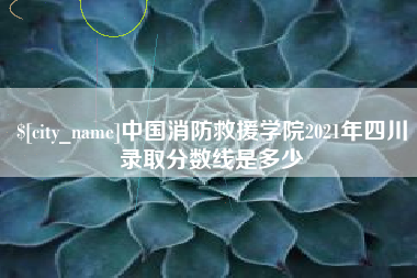 池州中国消防救援学院2021年四川录取分数线是多少