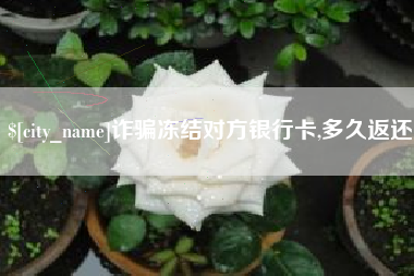 池州诈骗冻结对方银行卡,多久返还