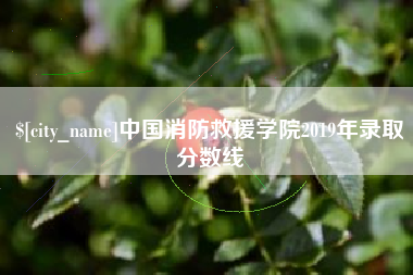 池州中国消防救援学院2019年录取分数线