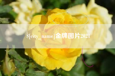 池州金牌图片2021