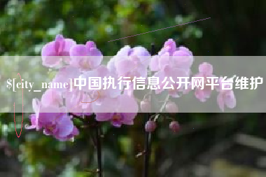 池州中国执行信息公开网平台维护