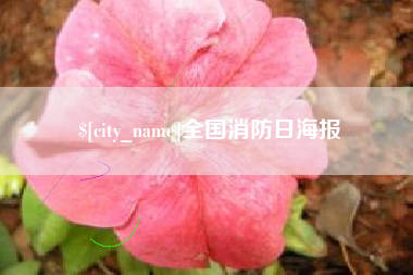 池州全国消防日海报