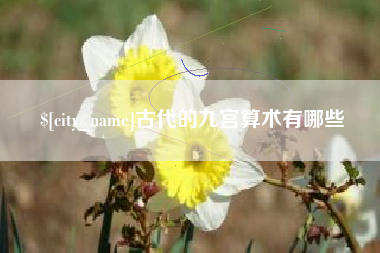池州古代的九宫算术有哪些