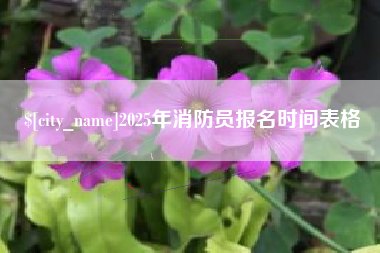池州2025年消防员报名时间表格