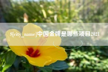 池州中国金牌是哪些项目2021