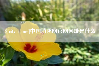 池州中国消防网官网网址是什么