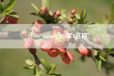池州2021年9宫格