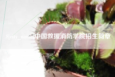 池州中国救援消防学院招生简章
