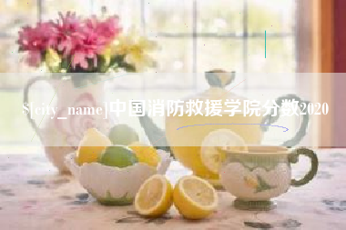 池州中国消防救援学院分数2020