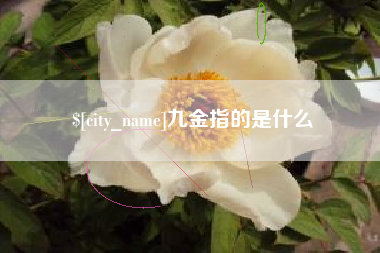 池州九金指的是什么