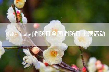 池州消防日全国消防日主题活动