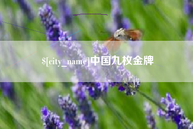 池州中国九枚金牌