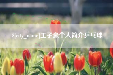 池州王子豪个人简介乒乓球