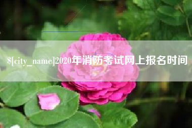 池州2020年消防考试网上报名时间
