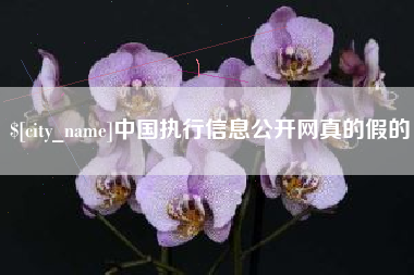 池州中国执行信息公开网真的假的