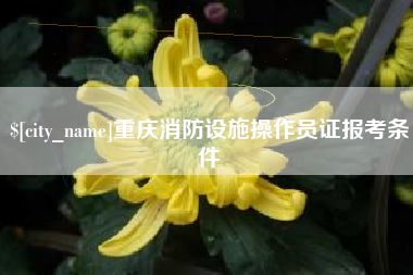 池州重庆消防设施操作员证报考条件